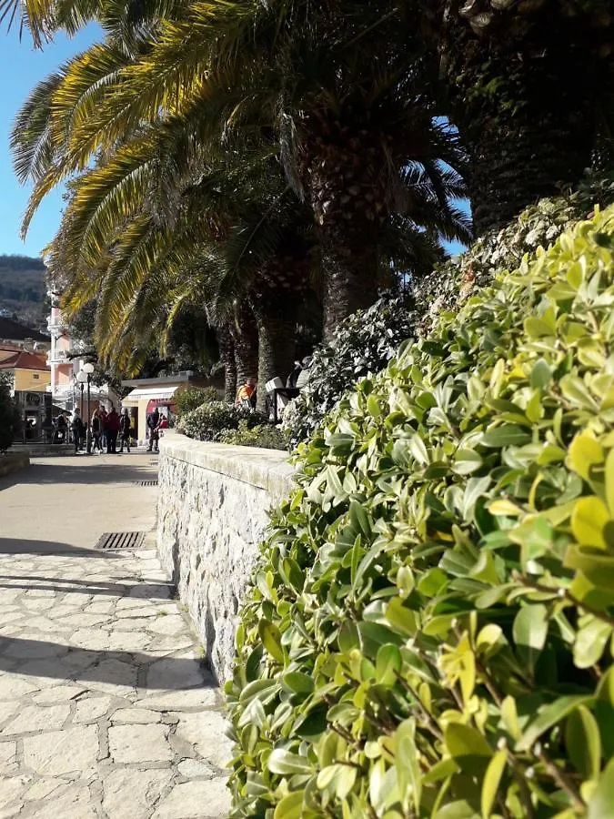 Apartment Apartman Luna Rijeka